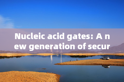 Nucleic acid gates: A new generation of security systems