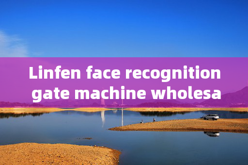 Linfen face recognition gate machine wholesale: Enhancing Security with Advanced Technology