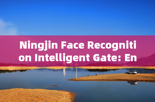 Ningjin Face Recognition Intelligent Gate: Enhancing Security and Convenience