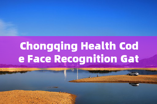 Chongqing Health Code Face Recognition Gate: Enhancing Public Safety and Convenience