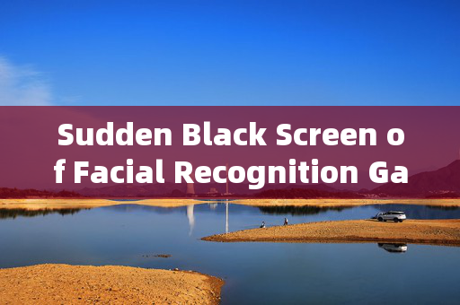 Sudden Black Screen of Facial Recognition Gate: Troubleshooting and Solutions