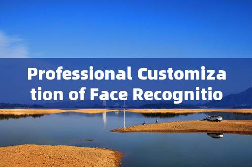 Professional Customization of Face Recognition Gate: Enhancing Security and Efficiency