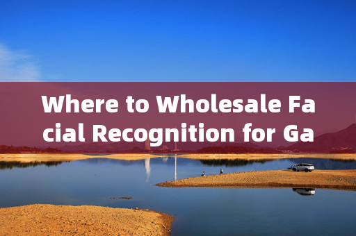 Where to Wholesale Facial Recognition for Gates: Your Guide to Secure Access Solutions