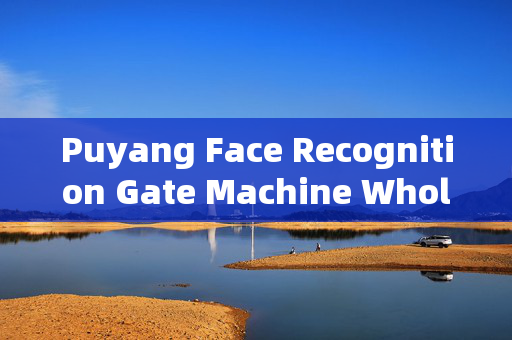 Puyang Face Recognition Gate Machine Wholesale: Enhancing Security with Advanced Technology