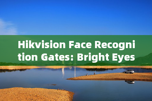 Hikvision Face Recognition Gates: Bright Eyes for Enhanced Security